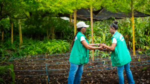 Proyecto Redd ACAPA BAJO MIRA Y FRONTERA